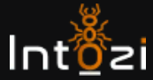 Intozi
